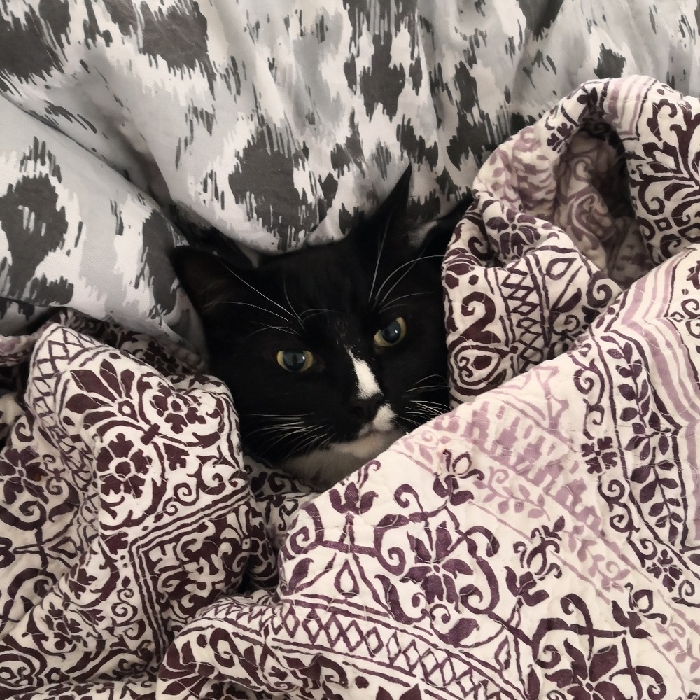 Meet your Posher, Mimi